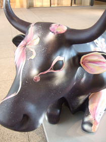 Grows Discreetly(Cow Version 2008)