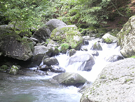 蘭庭(行者の滝)