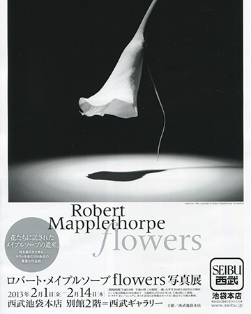 ロバート・メイプルソープflowers 写真展