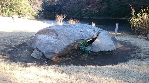 明治神宮・北池の亀石