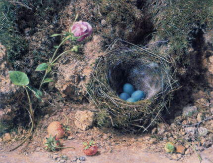 ウィリアム・ヘンリー・ハント《ヨーロッパカヤクグリ（イワヒバリ属）の巣》